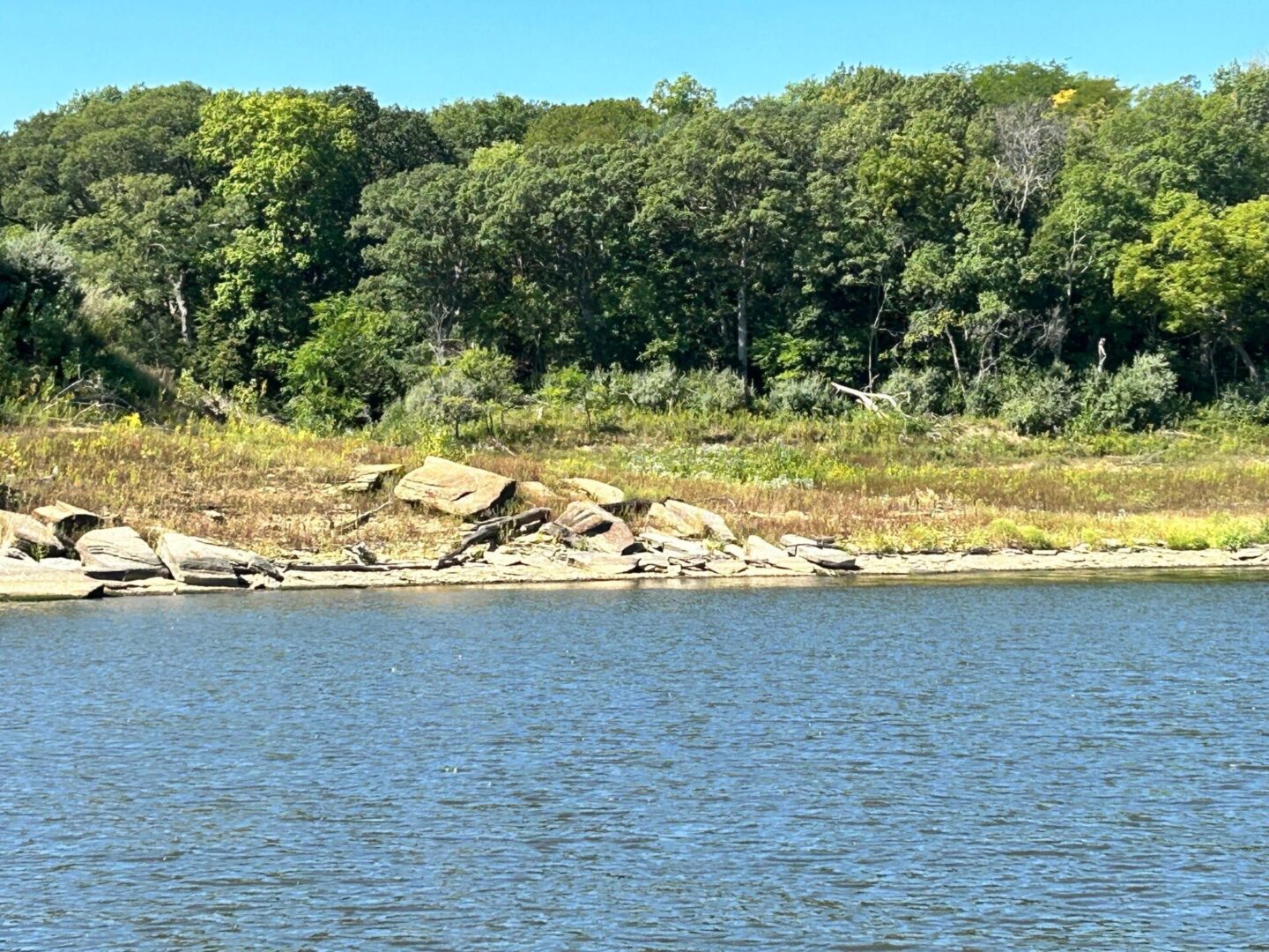 A body of water with trees in the background