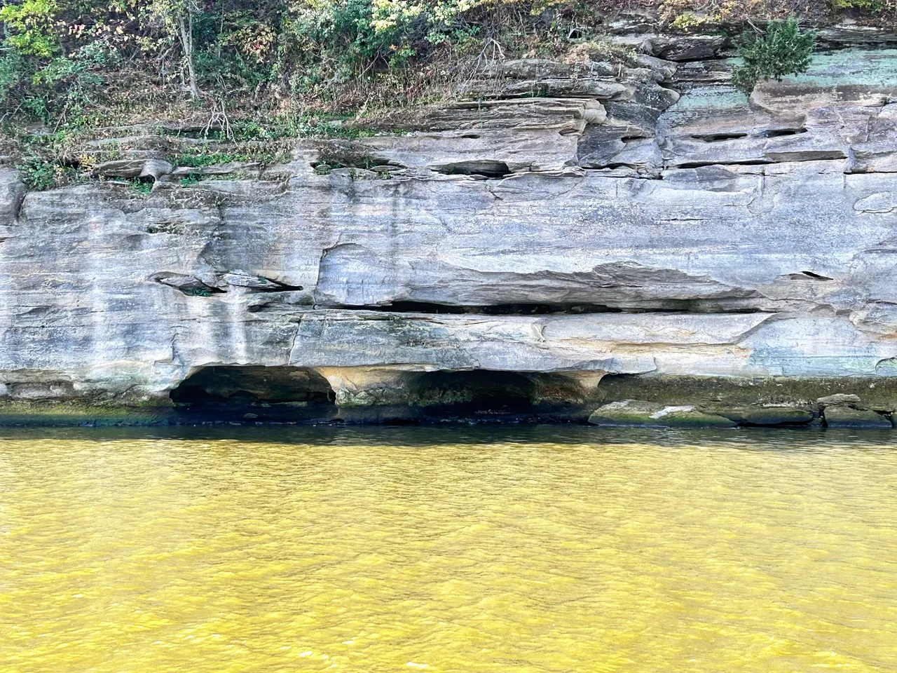 A body of water with rocks and trees in the background.