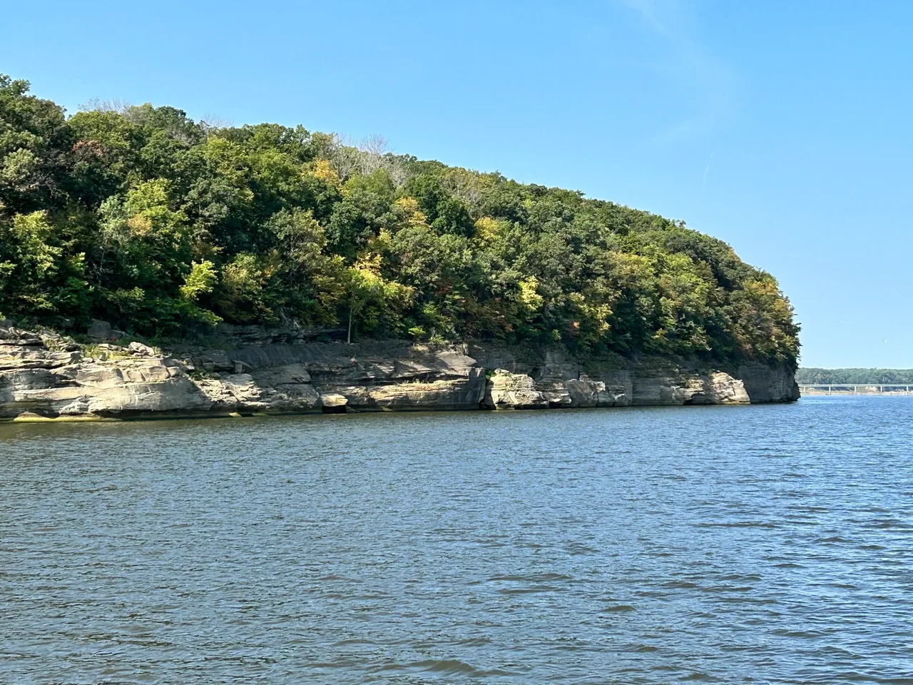 A body of water with trees on top