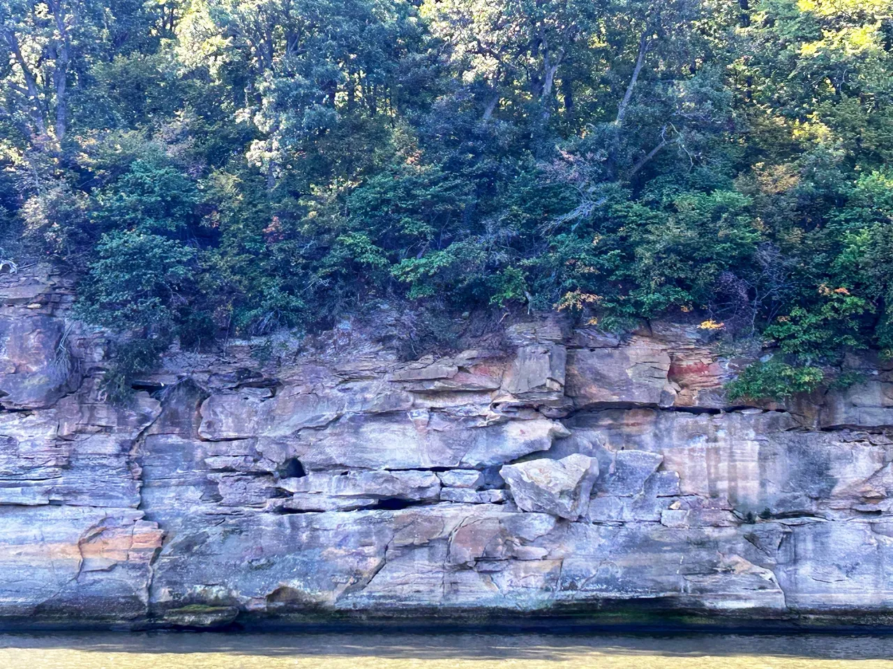 A large rock wall with trees on top of it.