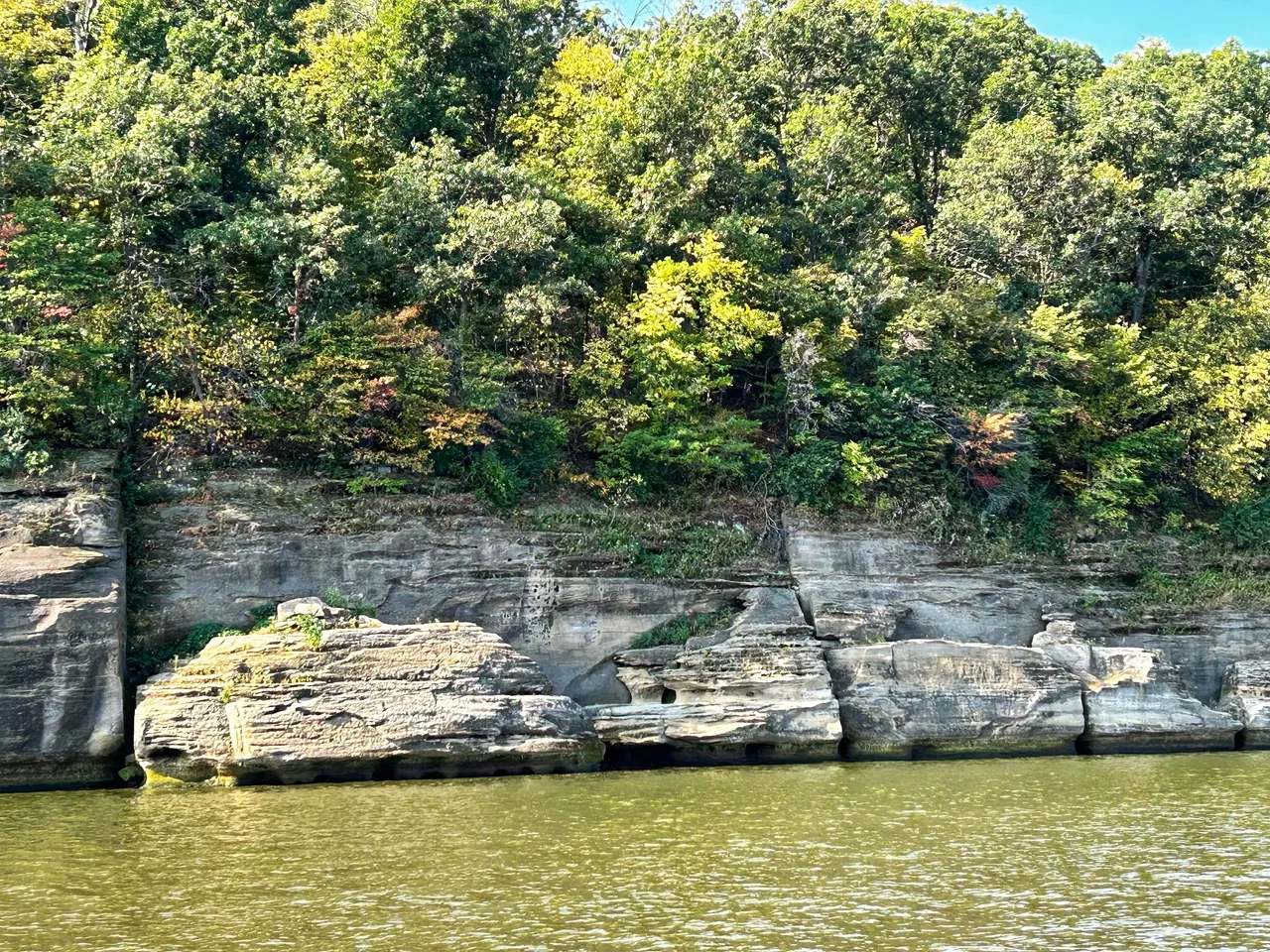 A body of water with trees on the side.